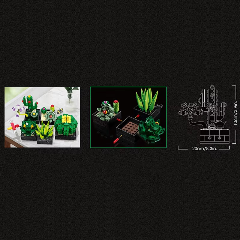 Botanical Garden (590tk) Technical